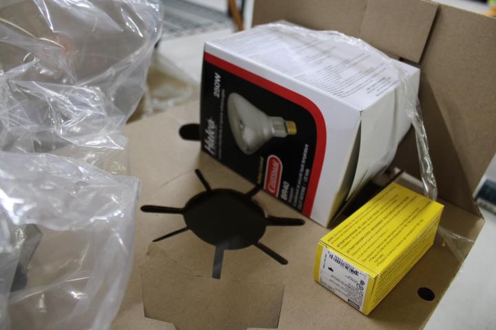Auction item image