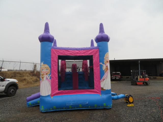 Auction item image