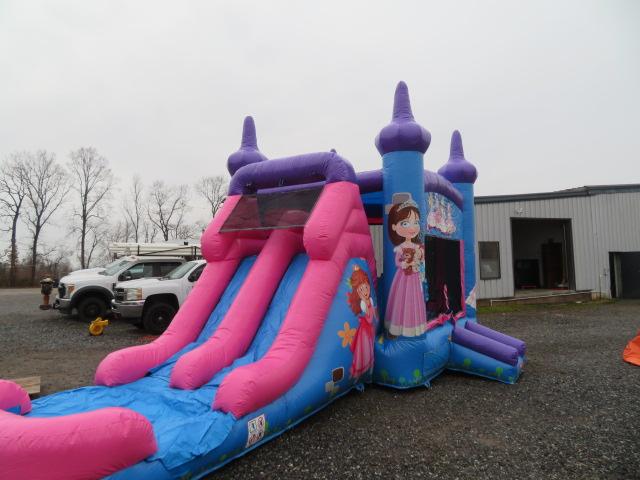 Auction item image
