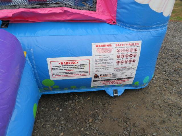Auction item image