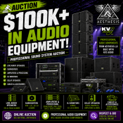 Auction item image