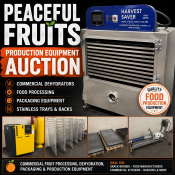Auction item image